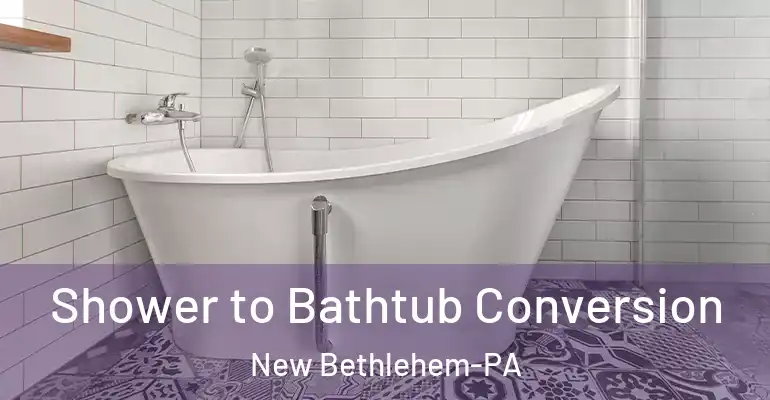 inner Bathroom imggen Shower to Bathtub Conversion New Bethlehem-PA