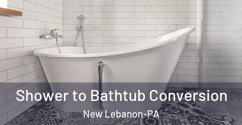 inner Bathroom imggen Shower to Bathtub Conversion New Lebanon-PA