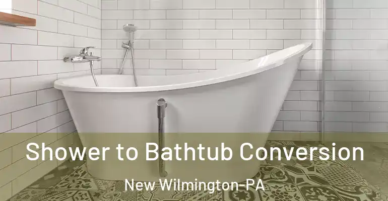inner Bathroom imggen Shower to Bathtub Conversion New Wilmington-PA