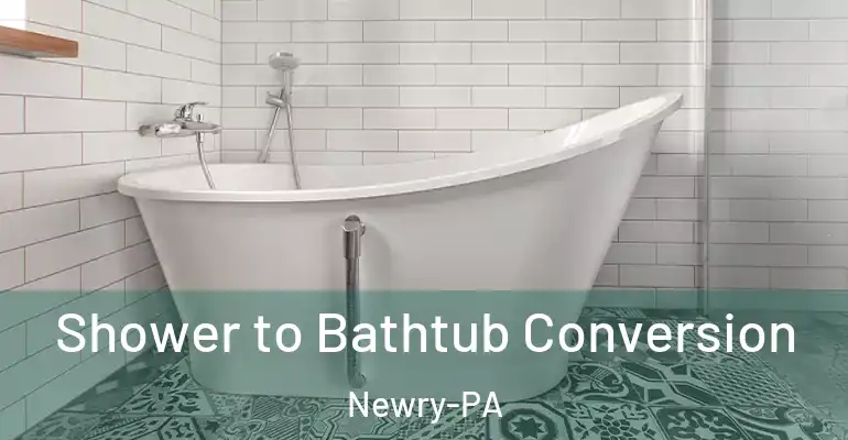 inner Bathroom imggen Shower to Bathtub Conversion Newry-PA
