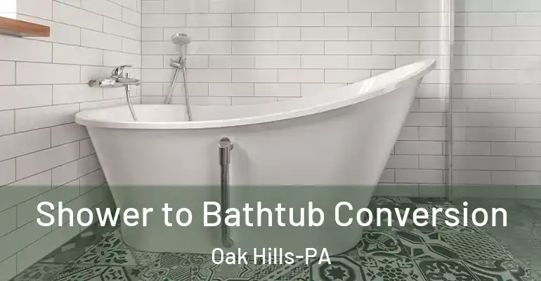 inner Bathroom imggen Shower to Bathtub Conversion Oak Hills-PA