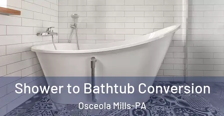 inner Bathroom imggen Shower to Bathtub Conversion Osceola Mills-PA