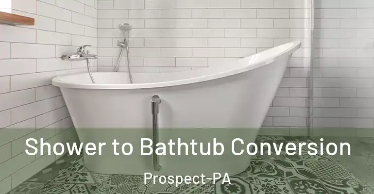 inner Bathroom imggen Shower to Bathtub Conversion Prospect-PA