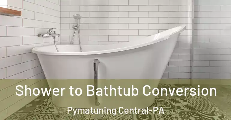 inner Bathroom imggen Shower to Bathtub Conversion Pymatuning Central-PA