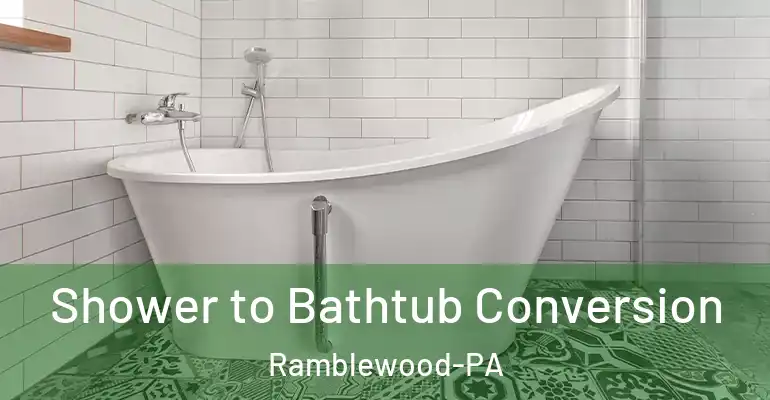 inner Bathroom imggen Shower to Bathtub Conversion Ramblewood-PA