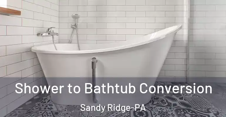 inner Bathroom imggen Shower to Bathtub Conversion Sandy Ridge-PA