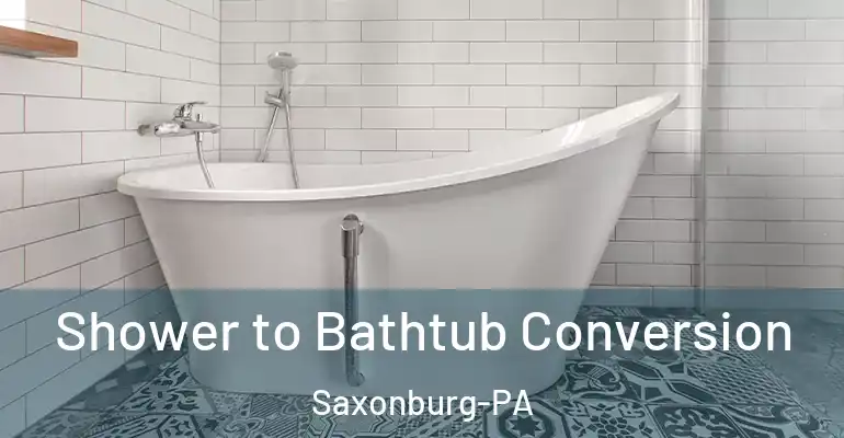 inner Bathroom imggen Shower to Bathtub Conversion Saxonburg-PA