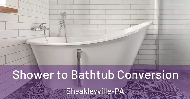 inner Bathroom imggen Shower to Bathtub Conversion Sheakleyville-PA