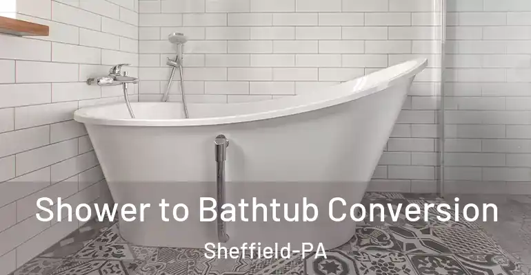 inner Bathroom imggen Shower to Bathtub Conversion Sheffield-PA