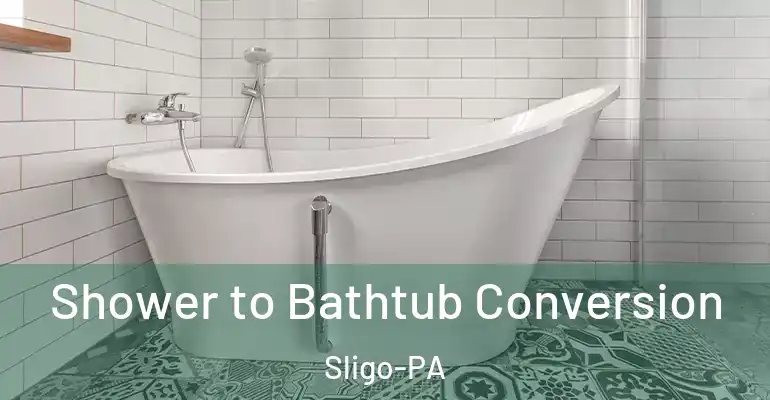 inner Bathroom imggen Shower to Bathtub Conversion Sligo-PA