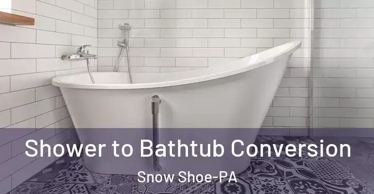 inner Bathroom imggen Shower to Bathtub Conversion Snow Shoe-PA