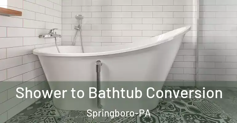 inner Bathroom imggen Shower to Bathtub Conversion Springboro-PA