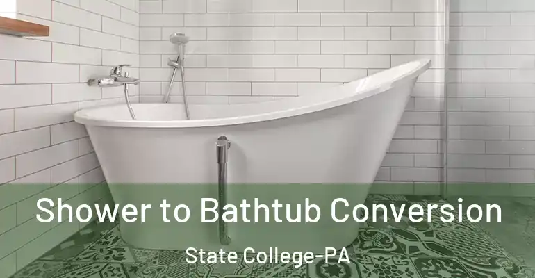 inner Bathroom imggen Shower to Bathtub Conversion State College-PA