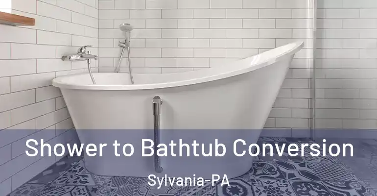 inner Bathroom imggen Shower to Bathtub Conversion Sylvania-PA