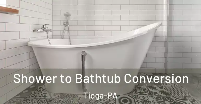 inner Bathroom imggen Shower to Bathtub Conversion Tioga-PA
