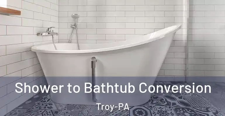 inner Bathroom imggen Shower to Bathtub Conversion Troy-PA