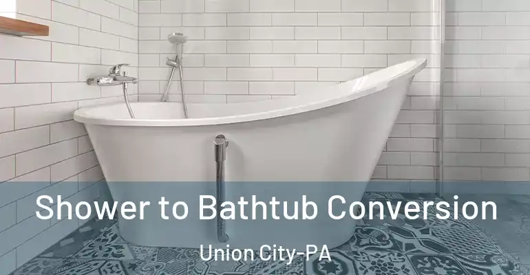 inner Bathroom imggen Shower to Bathtub Conversion Union City-PA
