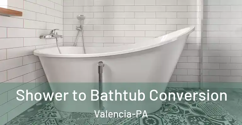 inner Bathroom imggen Shower to Bathtub Conversion Valencia-PA