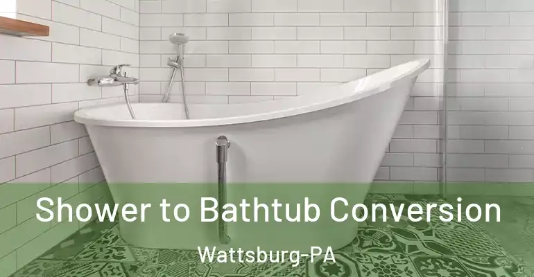 inner Bathroom imggen Shower to Bathtub Conversion Wattsburg-PA