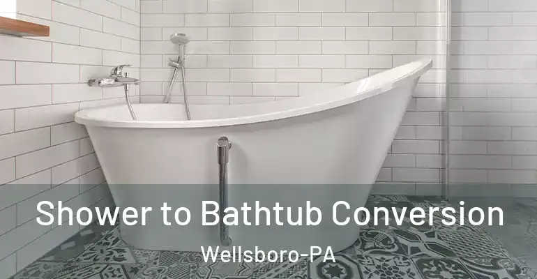 inner Bathroom imggen Shower to Bathtub Conversion Wellsboro-PA