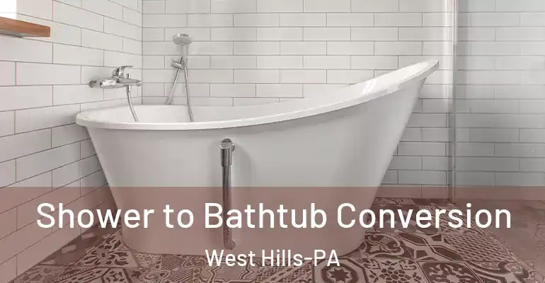 inner Bathroom imggen Shower to Bathtub Conversion West Hills-PA