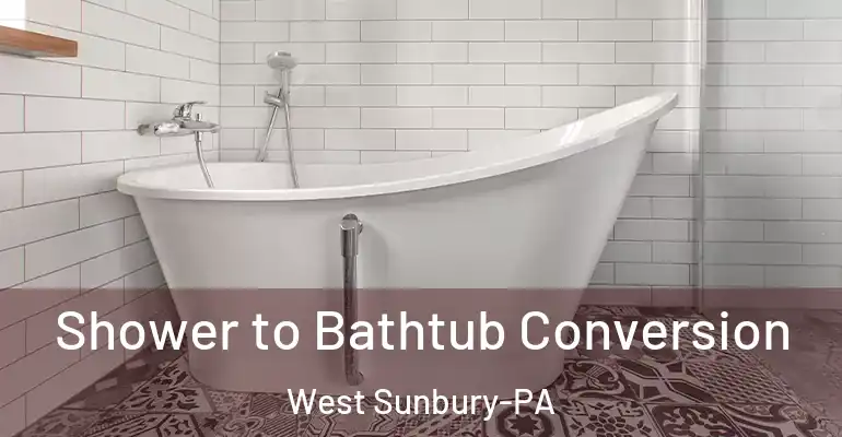 inner Bathroom imggen Shower to Bathtub Conversion West Sunbury-PA