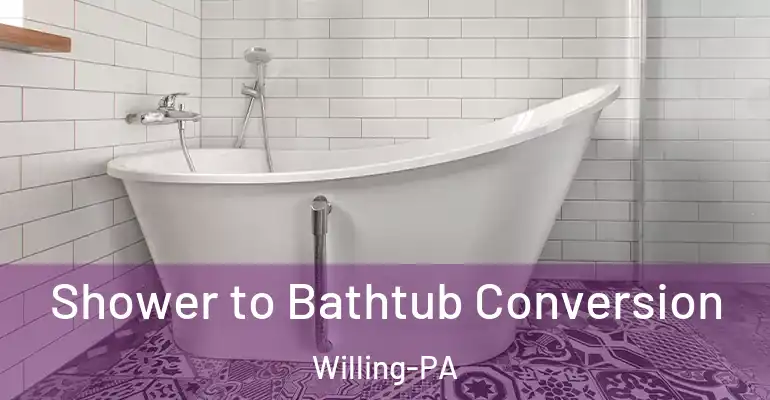 inner Bathroom imggen Shower to Bathtub Conversion Willing-PA
