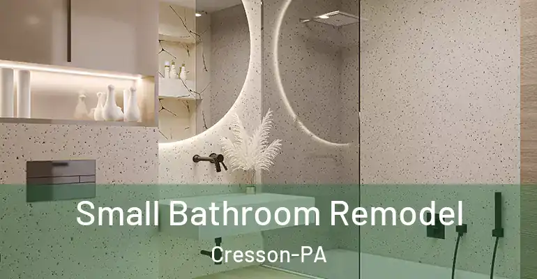 inner Bathroom imggen Small Bathroom Remodel Cresson-PA