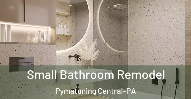 inner Bathroom imggen Small Bathroom Remodel Pymatuning Central-PA