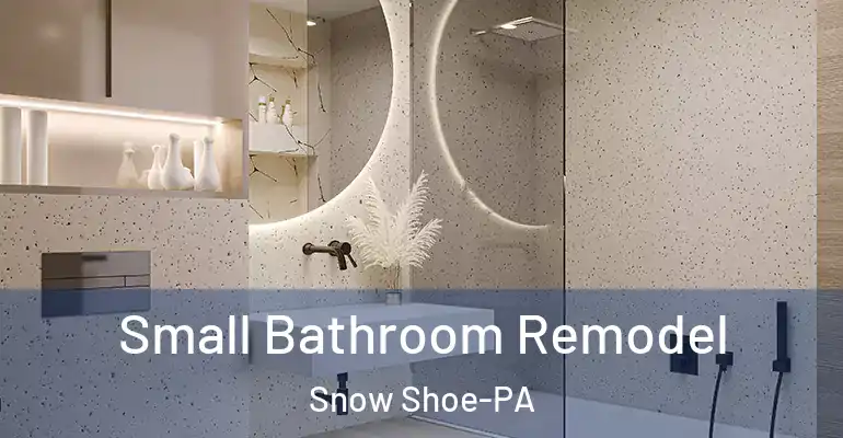 inner Bathroom imggen Small Bathroom Remodel Snow Shoe-PA