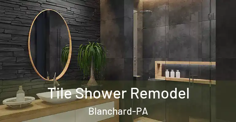 inner Bathroom imggen Tile Shower Remodel Blanchard-PA