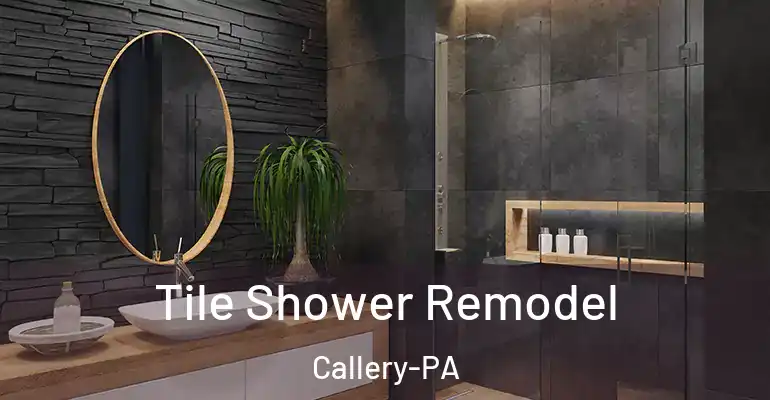 inner Bathroom imggen Tile Shower Remodel Callery-PA