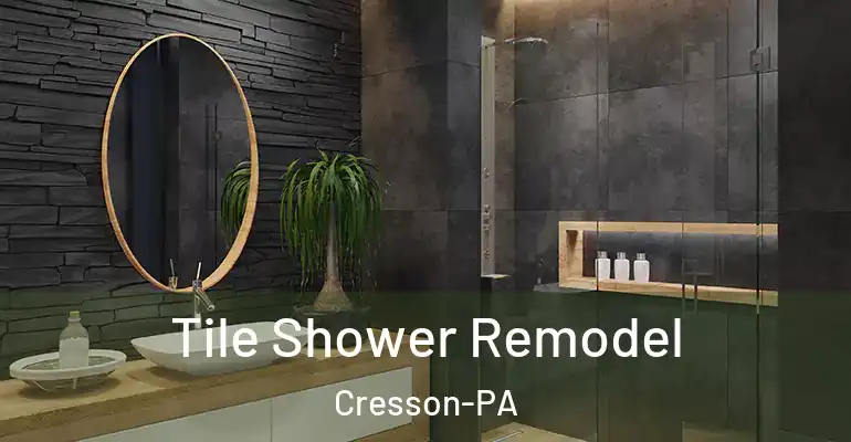 inner Bathroom imggen Tile Shower Remodel Cresson-PA