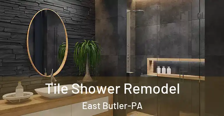 inner Bathroom imggen Tile Shower Remodel East Butler-PA