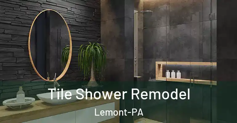 inner Bathroom imggen Tile Shower Remodel Lemont-PA