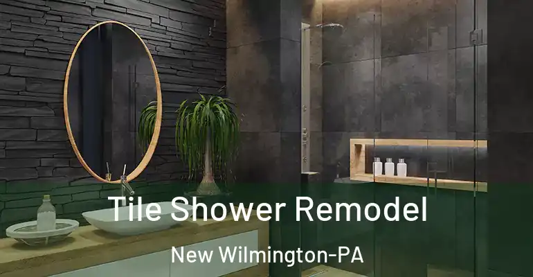 inner Bathroom imggen Tile Shower Remodel New Wilmington-PA