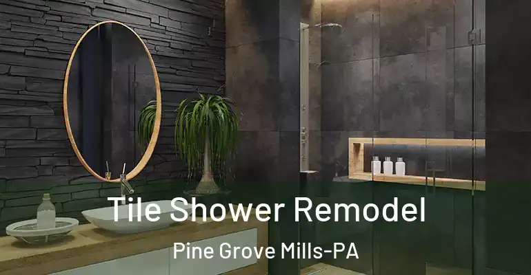 inner Bathroom imggen Tile Shower Remodel Pine Grove Mills-PA