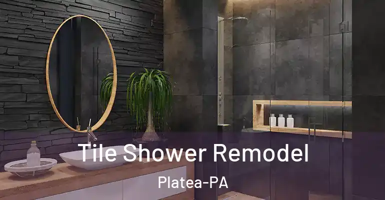 inner Bathroom imggen Tile Shower Remodel Platea-PA