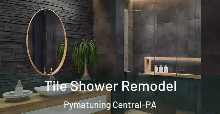inner Bathroom imggen Tile Shower Remodel Pymatuning Central-PA