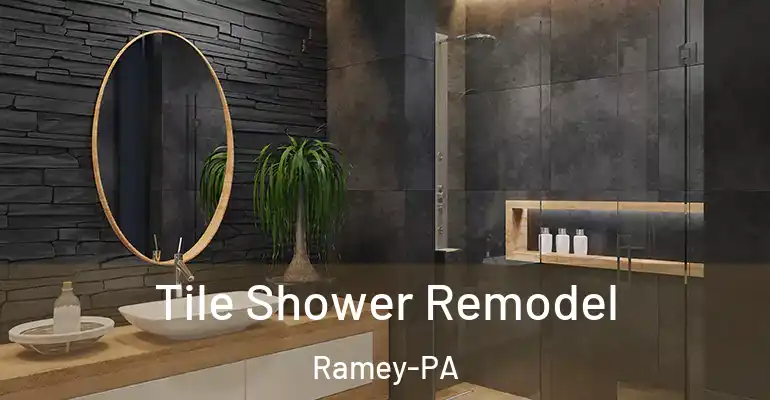 inner Bathroom imggen Tile Shower Remodel Ramey-PA