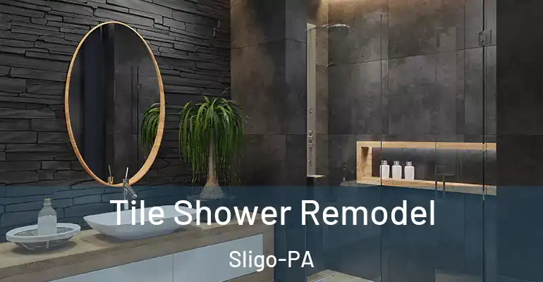 inner Bathroom imggen Tile Shower Remodel Sligo-PA