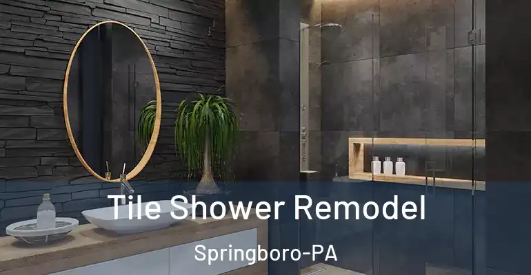 inner Bathroom imggen Tile Shower Remodel Springboro-PA