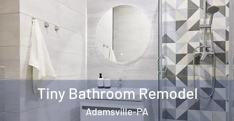 inner Bathroom imggen Tiny Bathroom Remodel Adamsville-PA