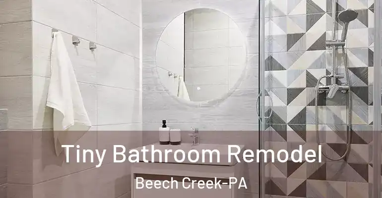 inner Bathroom imggen Tiny Bathroom Remodel Beech Creek-PA