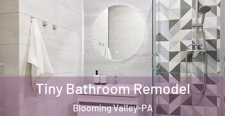 inner Bathroom imggen Tiny Bathroom Remodel Blooming Valley-PA