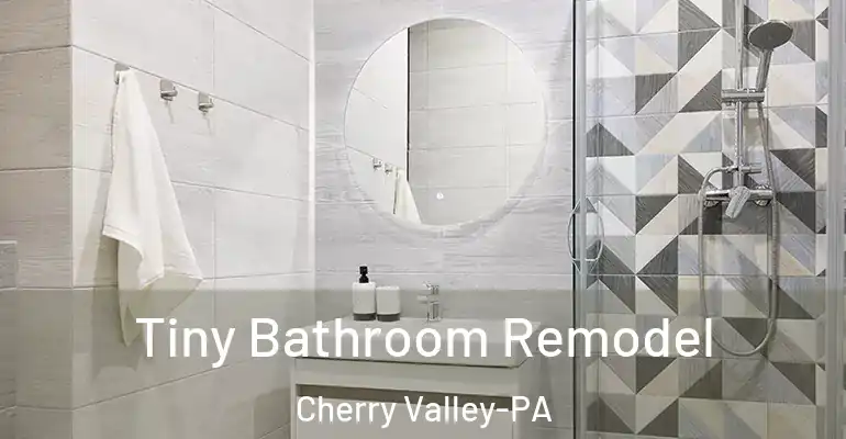 inner Bathroom imggen Tiny Bathroom Remodel Cherry Valley-PA