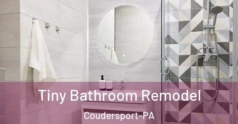 inner Bathroom imggen Tiny Bathroom Remodel Coudersport-PA