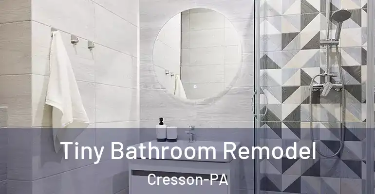 inner Bathroom imggen Tiny Bathroom Remodel Cresson-PA