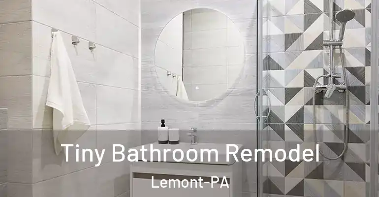 inner Bathroom imggen Tiny Bathroom Remodel Lemont-PA
