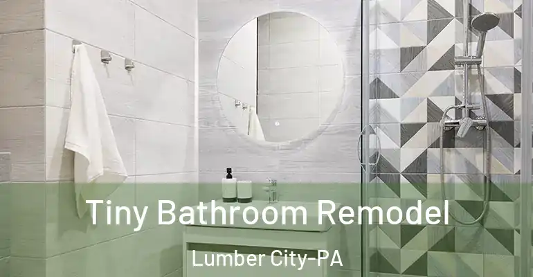 inner Bathroom imggen Tiny Bathroom Remodel Lumber City-PA